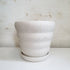 Lene Kuhl Ceramics Planters - Wave